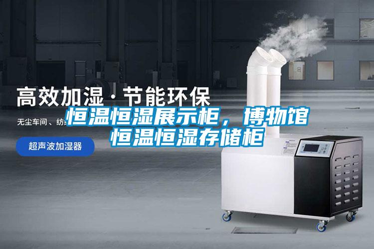 恒溫恒濕展示柜，博物館恒溫恒濕存儲柜