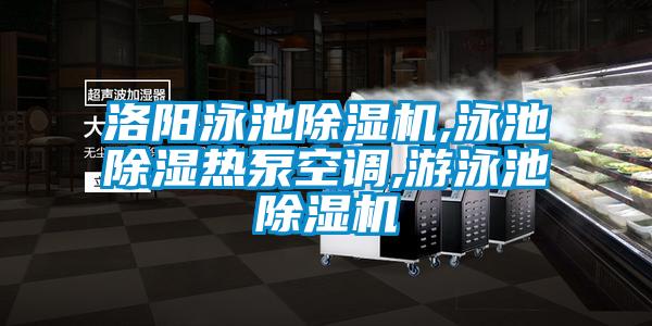 洛陽(yáng)泳池除濕機,泳池除濕熱泵空調,游泳池除濕機