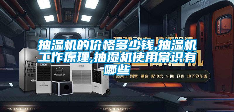 抽濕機的價(jià)格多少錢(qián),抽濕機工作原理,抽濕機使用常識有哪些