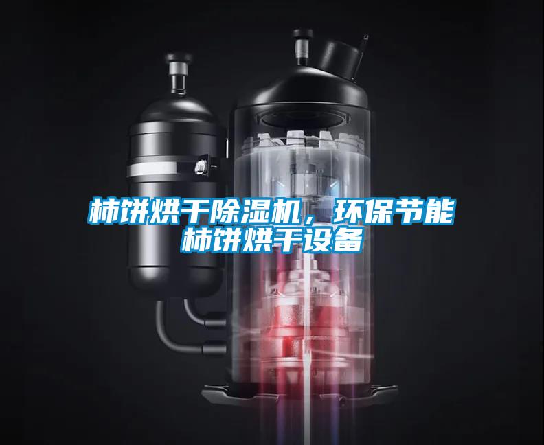 柿餅烘干除濕機，環(huán)保節能柿餅烘干設備