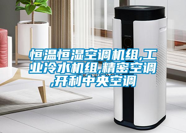 恒溫恒濕空調機組,工業(yè)冷水機組,精密空調,開(kāi)利中央空調
