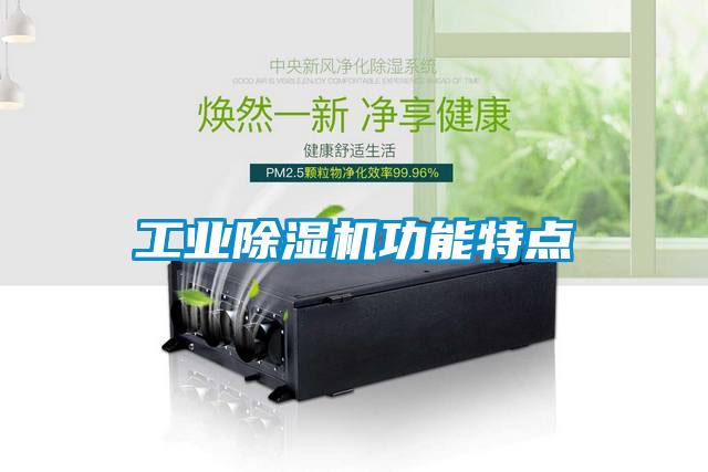 工業(yè)除濕機功能特點(diǎn)