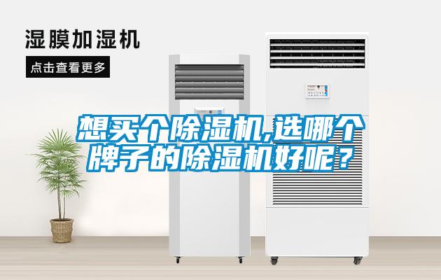 想買(mǎi)個(gè)除濕機,選哪個(gè)牌子的除濕機好呢？