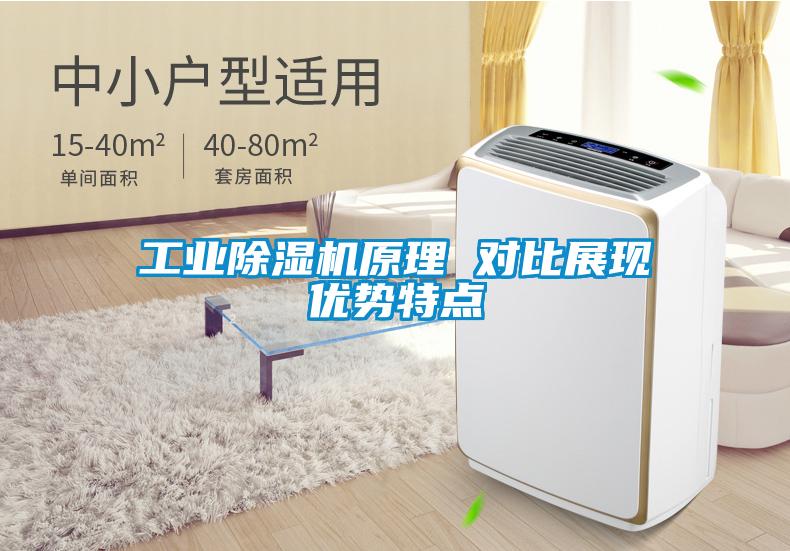 工業(yè)除濕機原理 對比展現優(yōu)勢特點(diǎn)