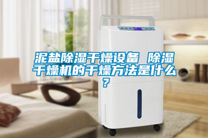 泥鹽除濕干燥設備 除濕干燥機的干燥方法是什么？