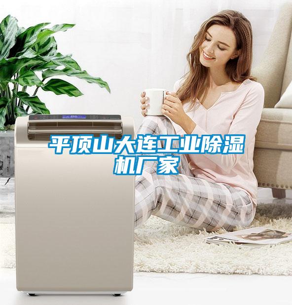 平頂山大連工業(yè)除濕機廠(chǎng)家