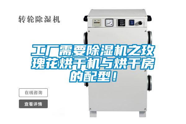 工廠(chǎng)需要除濕機之玫瑰花烘干機與烘干房的配型！