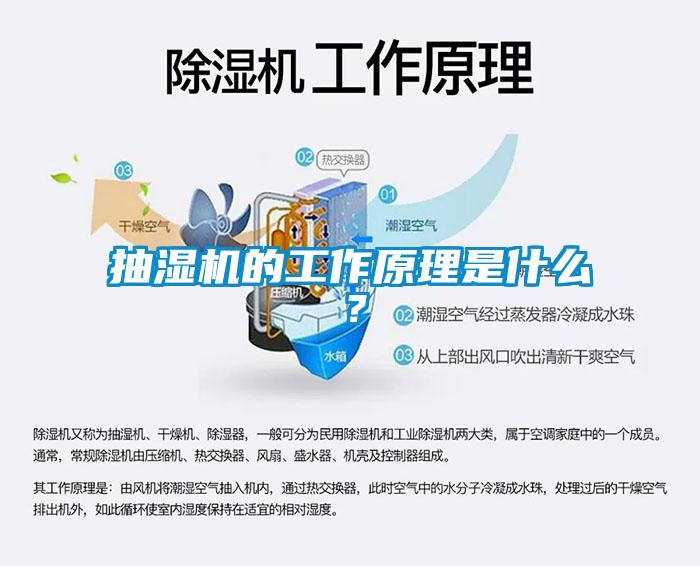 抽濕機的工作原理是什么？