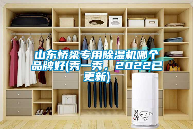 山東橋梁專(zhuān)用除濕機哪個(gè)品牌好(秀一秀，2022已更新)
