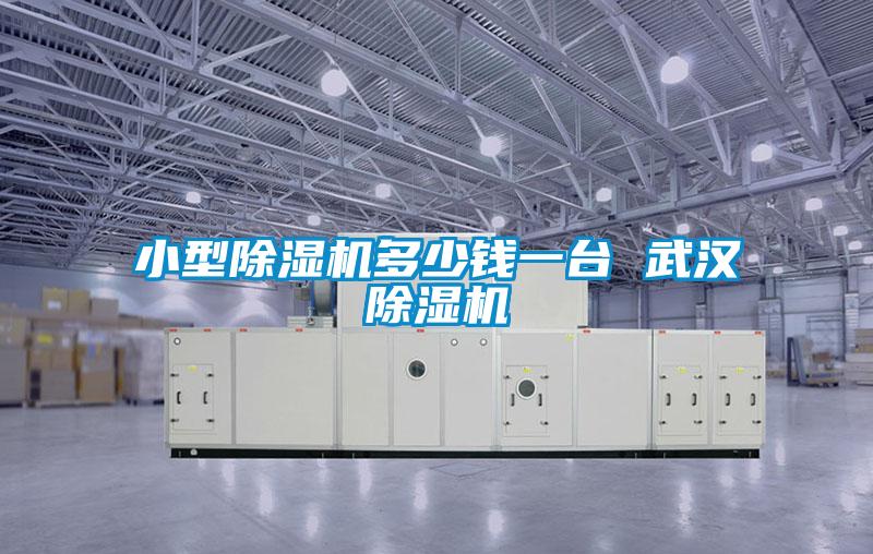 小型除濕機多少錢(qián)一臺 武漢除濕機