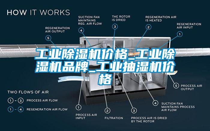 工業(yè)除濕機價(jià)格_工業(yè)除濕機品牌_工業(yè)抽濕機價(jià)格