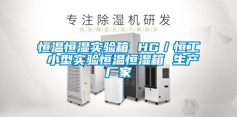 恒溫恒濕實(shí)驗箱 HG／恒工 小型實(shí)驗恒溫恒濕箱 生產(chǎn)廠(chǎng)家
