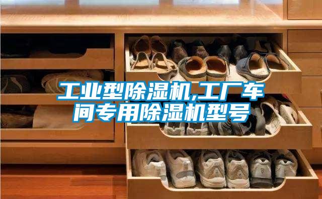 工業(yè)型除濕機,工廠(chǎng)車(chē)間專(zhuān)用除濕機型號