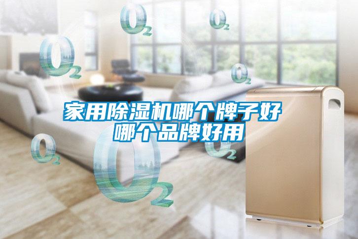 家用除濕機哪個(gè)牌子好 哪個(gè)品牌好用