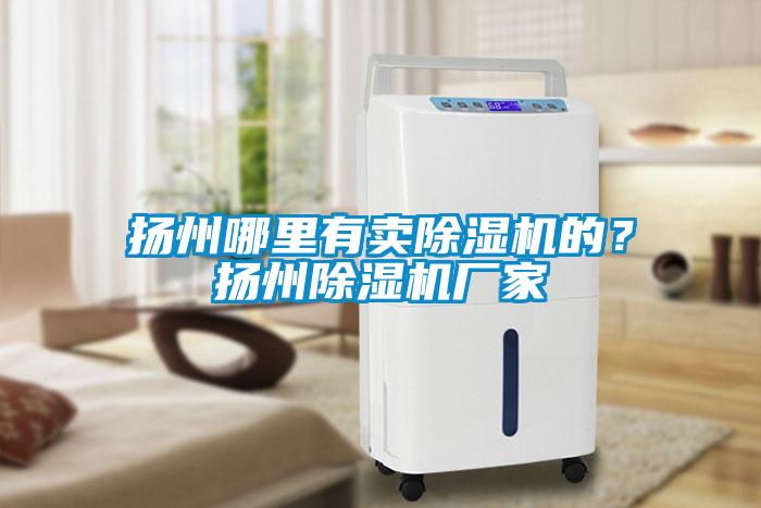 揚州哪里有賣(mài)除濕機的？揚州除濕機廠(chǎng)家