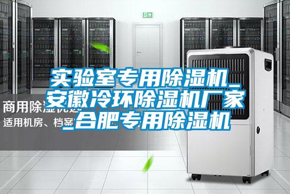 實(shí)驗室專(zhuān)用除濕機_安徽冷環(huán)除濕機廠(chǎng)家_合肥專(zhuān)用除濕機