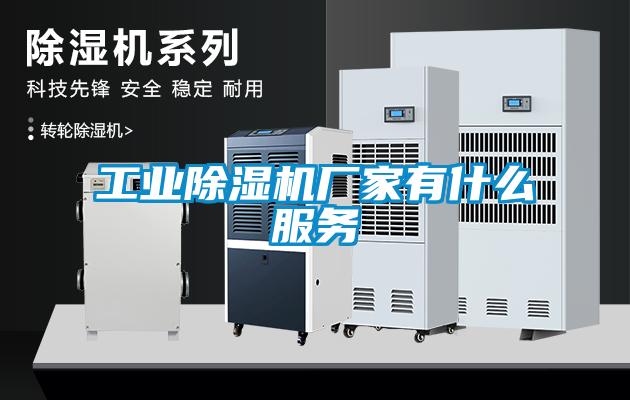 工業(yè)除濕機廠(chǎng)家有什么服務(wù)