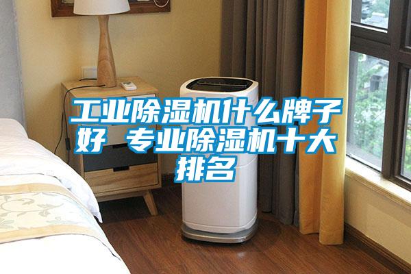 工業(yè)除濕機什么牌子好 專(zhuān)業(yè)除濕機十大排名