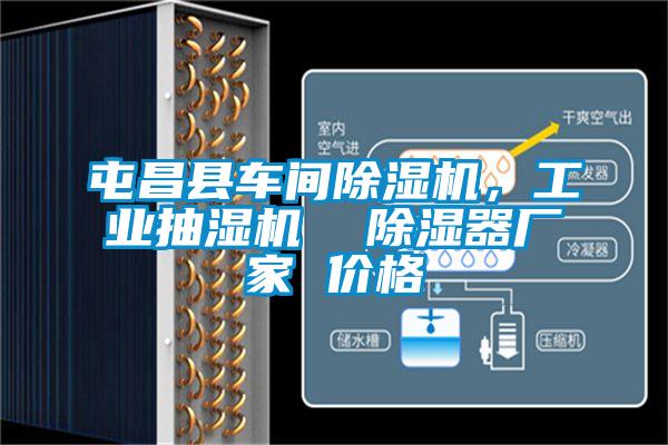 屯昌縣車(chē)間除濕機，工業(yè)抽濕機  除濕器廠(chǎng)家 價(jià)格