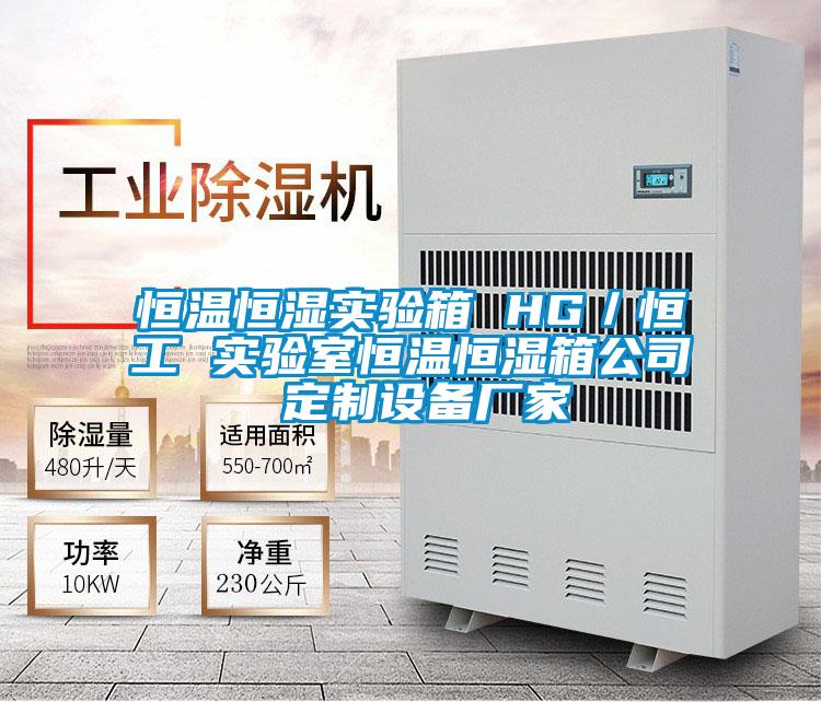 恒溫恒濕實(shí)驗箱 HG／恒工 實(shí)驗室恒溫恒濕箱公司 定制設備廠(chǎng)家