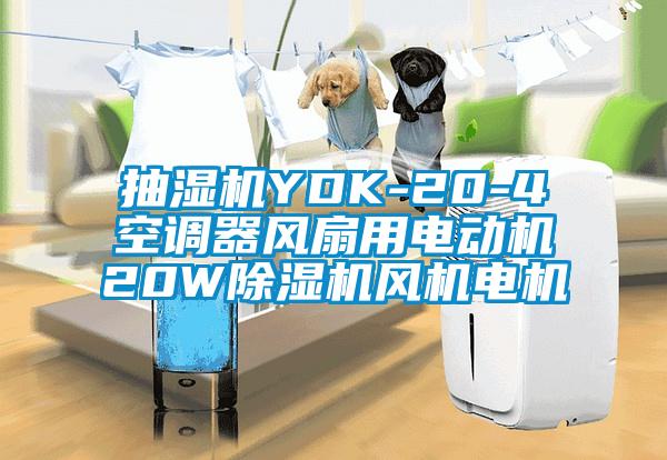抽濕機YDK-20-4空調器風(fēng)扇用電動(dòng)機20W除濕機風(fēng)機電機