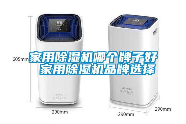 家用除濕機哪個(gè)牌子好 家用除濕機品牌選擇