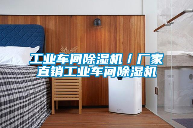 工業(yè)車(chē)間除濕機／廠(chǎng)家直銷(xiāo)工業(yè)車(chē)間除濕機