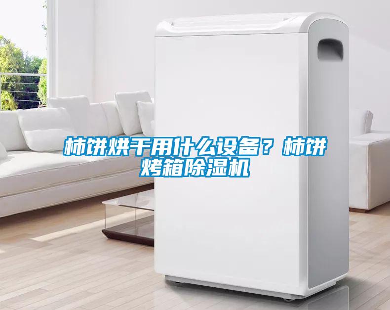 柿餅烘干用什么設備？柿餅烤箱除濕機