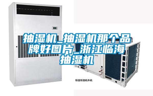 抽濕機_抽濕機那個(gè)品牌好圖片_浙江臨海抽濕機