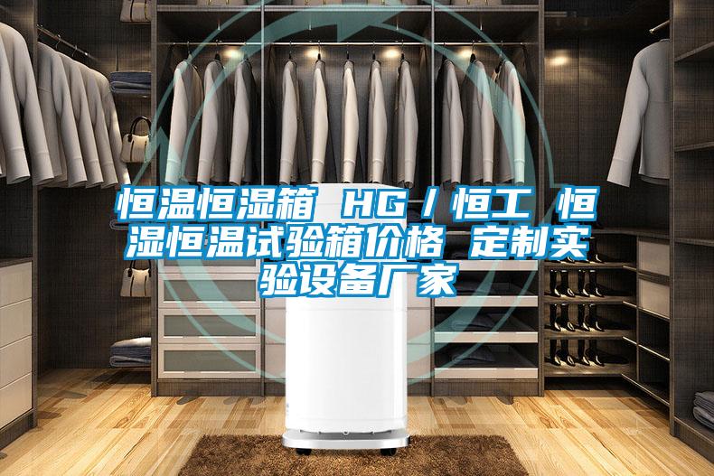 恒溫恒濕箱 HG／恒工 恒濕恒溫試驗箱價(jià)格 定制實(shí)驗設備廠(chǎng)家