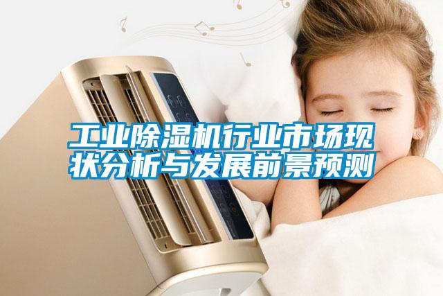 工業(yè)除濕機行業(yè)市場(chǎng)現狀分析與發(fā)展前景預測
