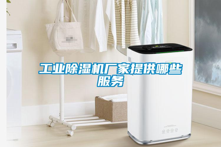 工業(yè)除濕機廠(chǎng)家提供哪些服務(wù)