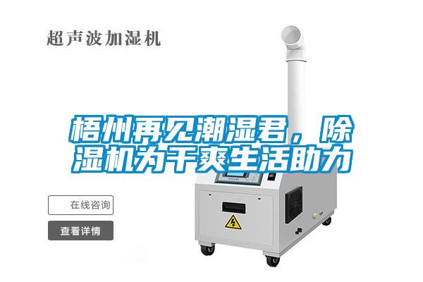 梧州再見(jiàn)潮濕君，除濕機為干爽生活助力