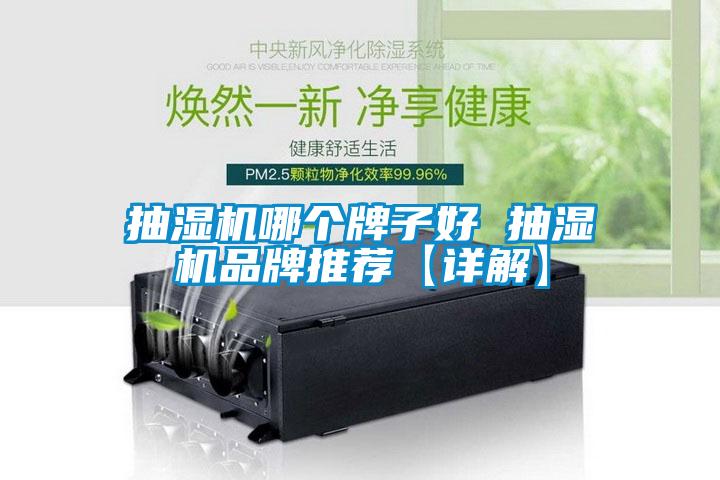 抽濕機哪個(gè)牌子好 抽濕機品牌推薦【詳解】