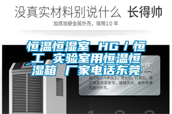 恒溫恒濕室 HG／恒工 實(shí)驗室用恒溫恒濕箱 廠(chǎng)家電話(huà)東莞