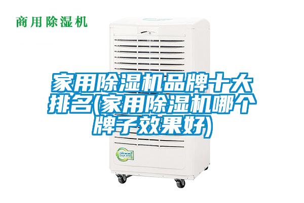 家用除濕機品牌十大排名(家用除濕機哪個(gè)牌子效果好)