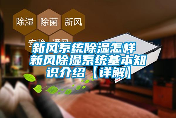 新風(fēng)系統除濕怎樣 新風(fēng)除濕系統基本知識介紹【詳解】