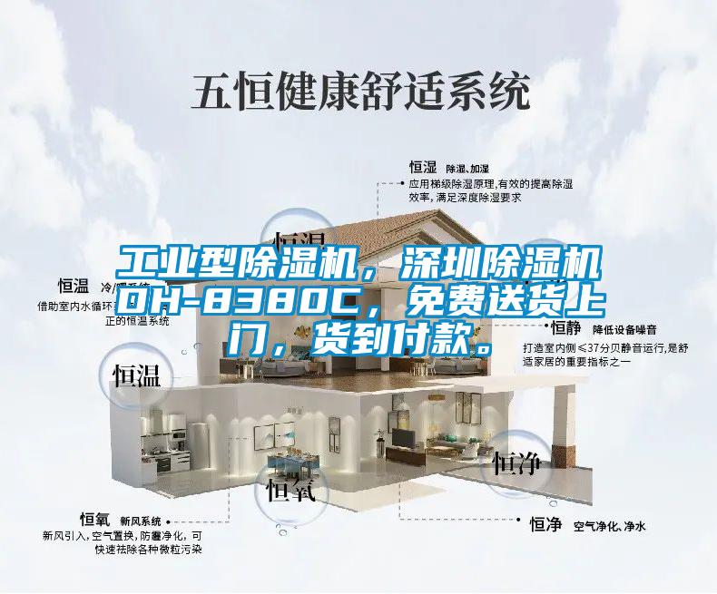 工業(yè)型除濕機，深圳除濕機DH-8380C，免費送貨上門(mén)，貨到付款。
