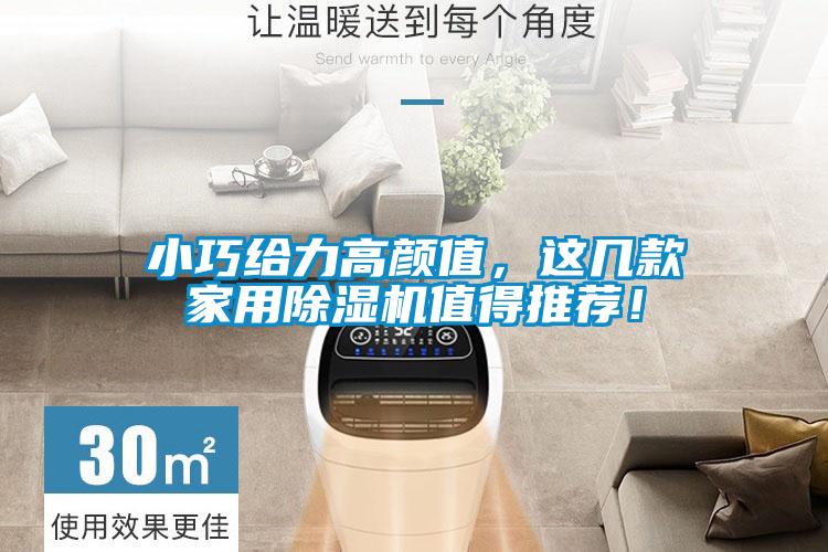 小巧給力高顏值，這幾款家用除濕機值得推薦！
