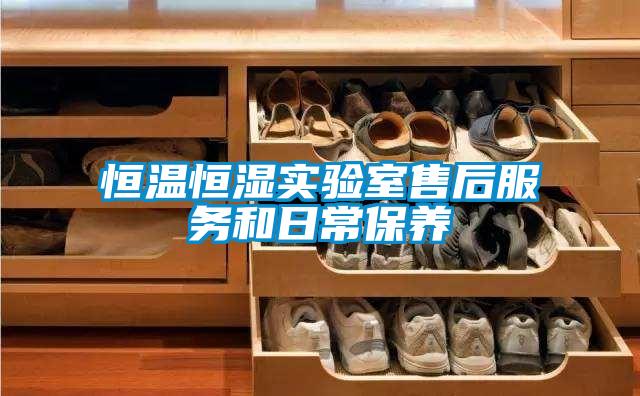 恒溫恒濕實(shí)驗室售后服務(wù)和日常保養