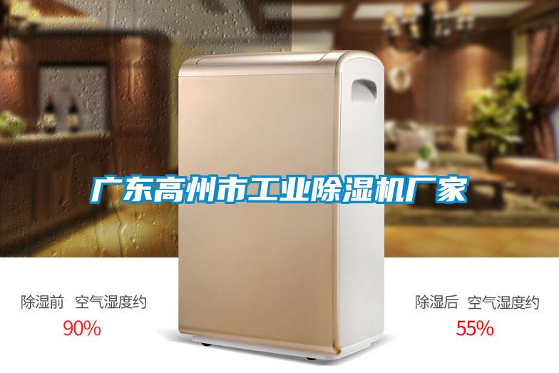 廣東高州市工業(yè)除濕機廠(chǎng)家