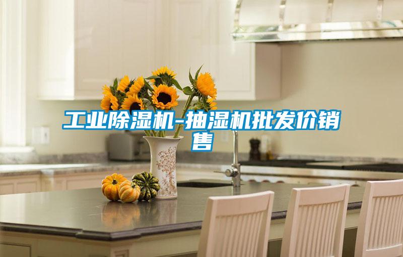 工業(yè)除濕機-抽濕機批發(fā)價(jià)銷(xiāo)售