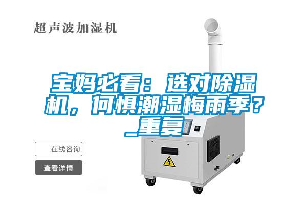 寶媽必看：選對除濕機，何懼潮濕梅雨季？_重復
