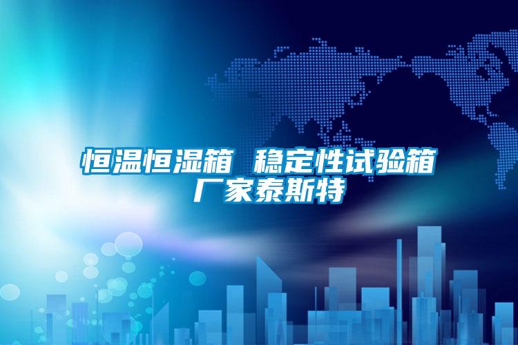 恒溫恒濕箱 穩定性試驗箱 廠(chǎng)家泰斯特