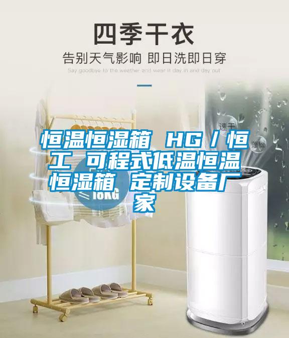 恒溫恒濕箱 HG／恒工 可程式低溫恒溫恒濕箱 定制設備廠(chǎng)家