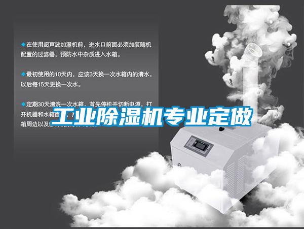 工業(yè)除濕機專(zhuān)業(yè)定做
