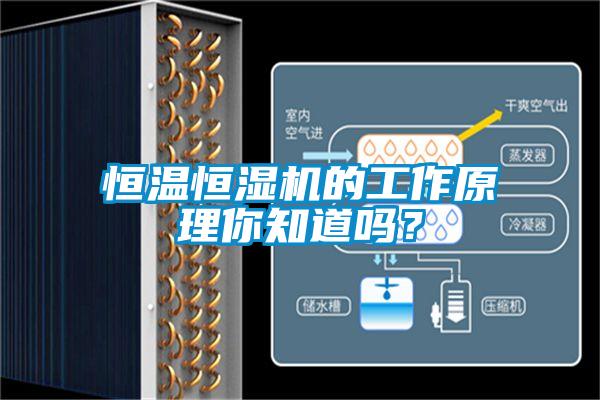 恒溫恒濕機的工作原理你知道嗎？