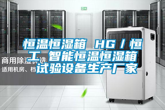 恒溫恒濕箱 HG／恒工 智能恒溫恒濕箱 試驗設備生產(chǎn)廠(chǎng)家