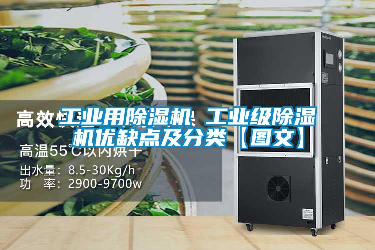 工業(yè)用除濕機 工業(yè)級除濕機優(yōu)缺點(diǎn)及分類(lèi)【圖文】