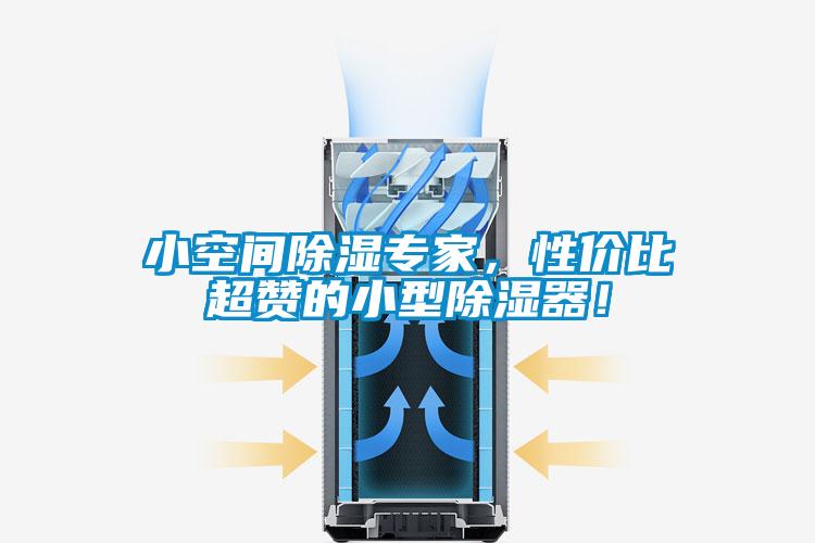 小空間除濕專(zhuān)家，性?xún)r(jià)比超贊的小型除濕器！